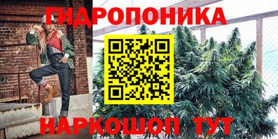 гашик Балаково