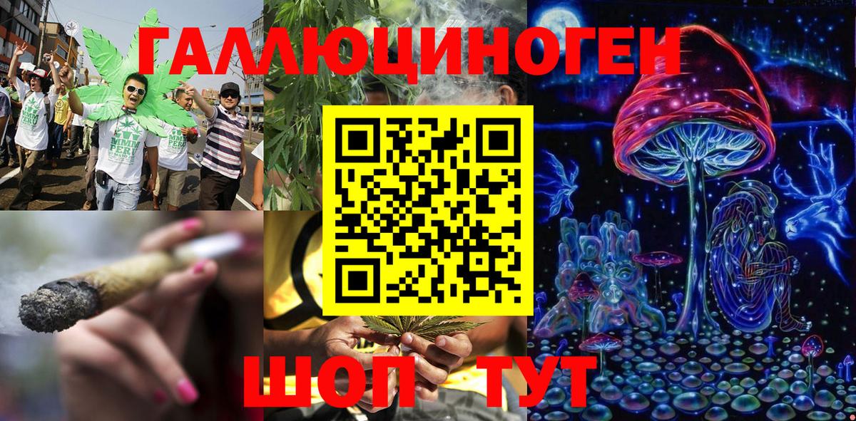 где купить наркотик  Вход с VPN  Гай  Псилоцибиновые грибы MAGIC MUSHROOMS 