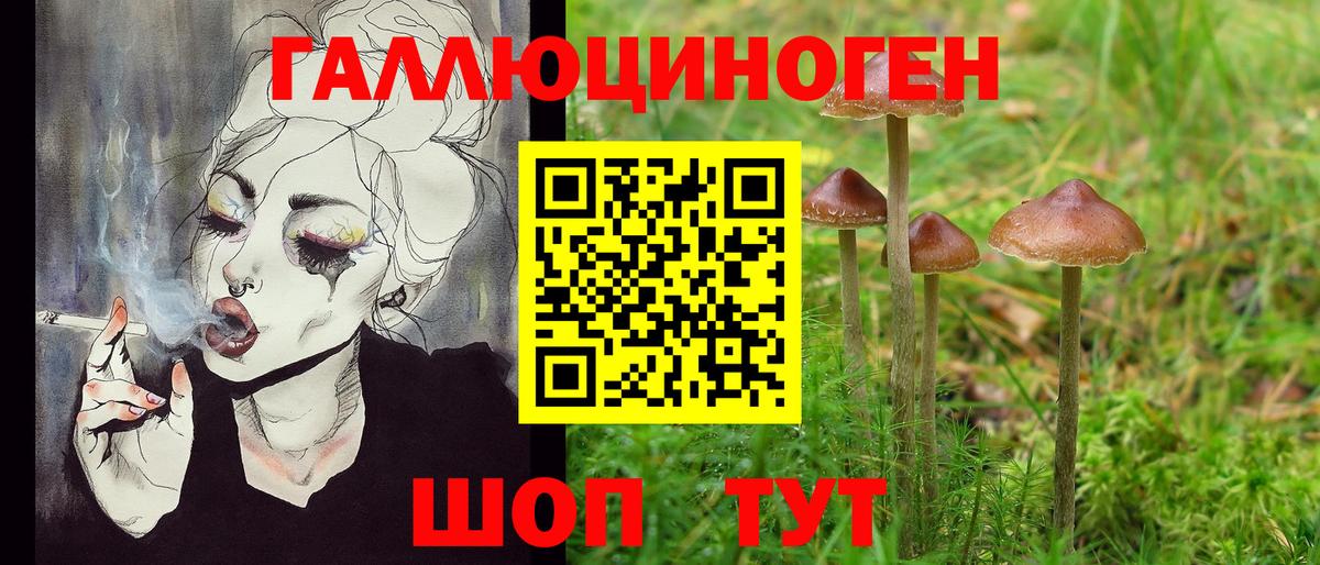 Галлюциногенные грибы MAGIC MUSHROOMS Гай